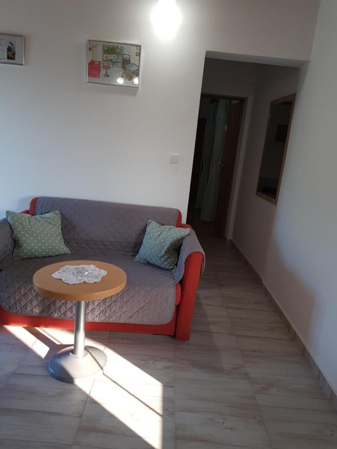 Apartmani Roza ロパール エクステリア 写真