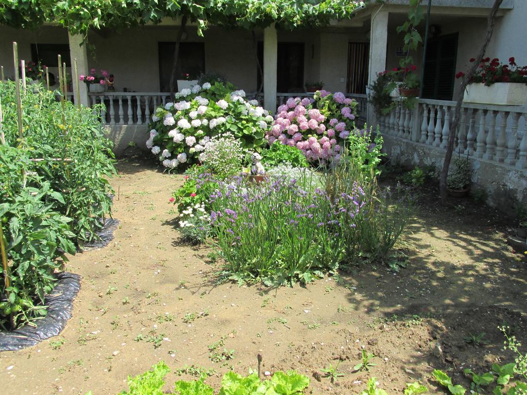 Apartmani Roza ロパール エクステリア 写真